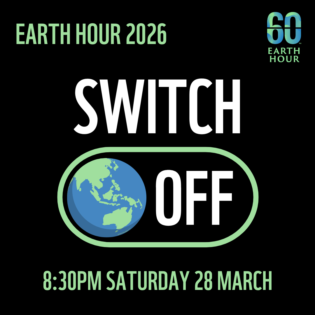 Switch off square logo 2026