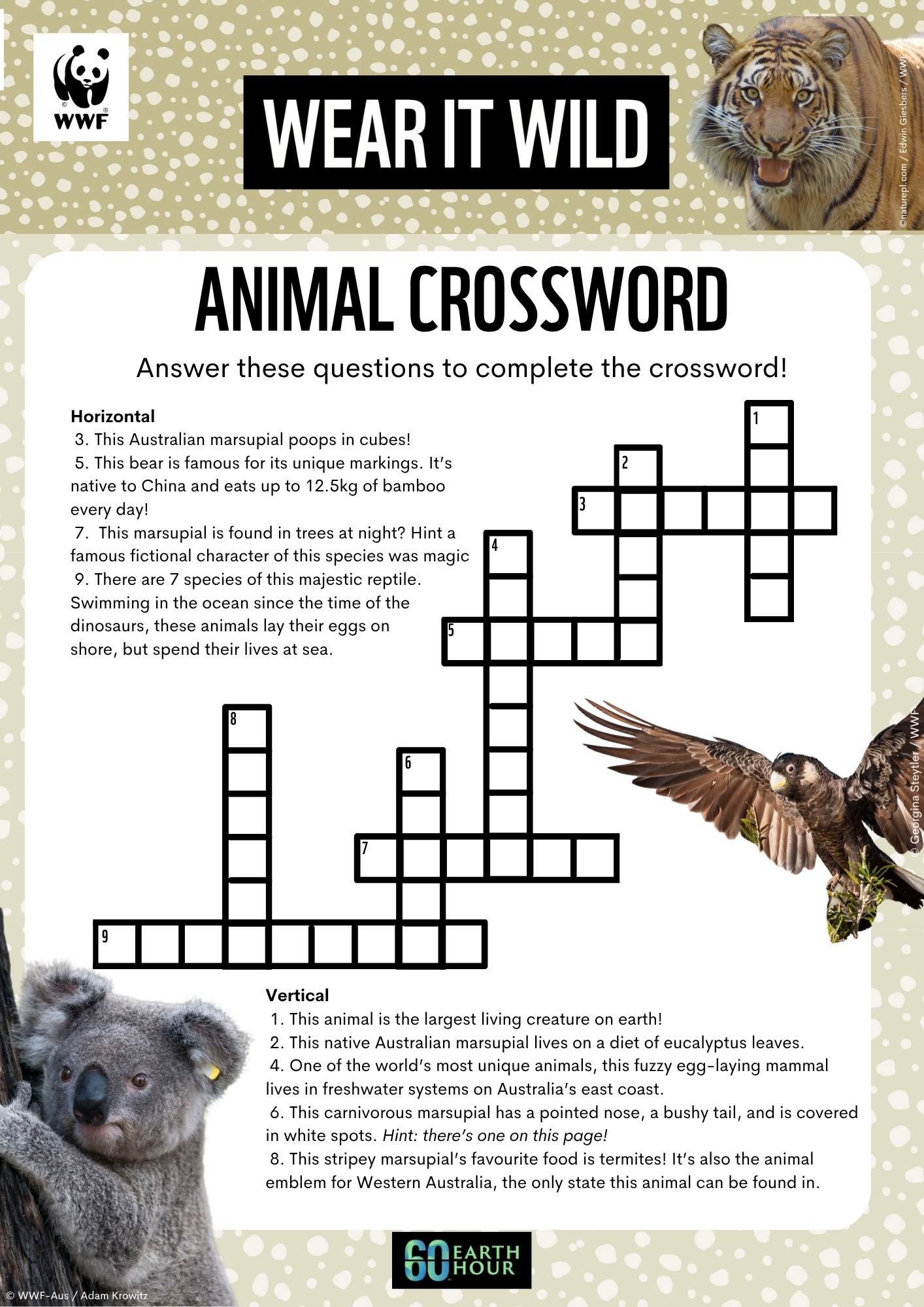 Wear It Wild - Crossword