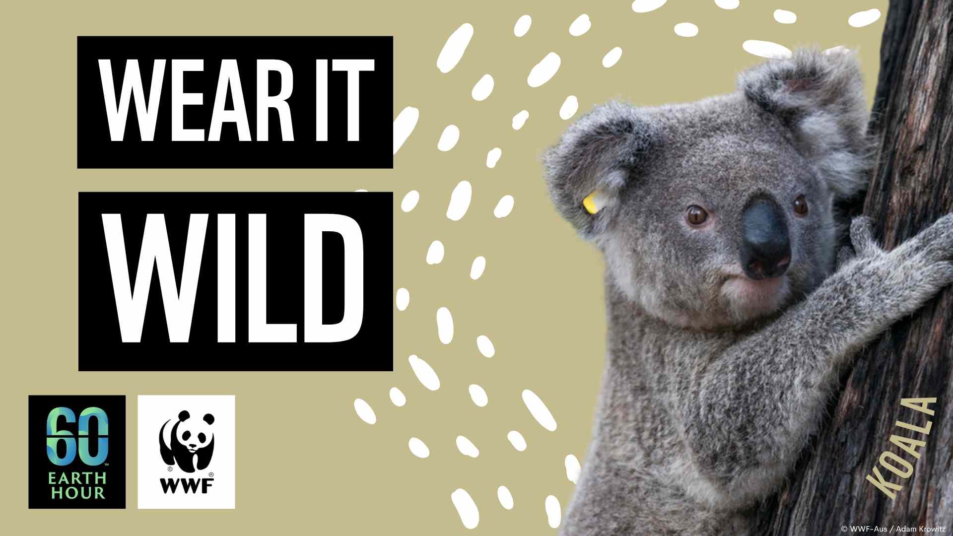 Wear it Wild - Schools Presentation 2026