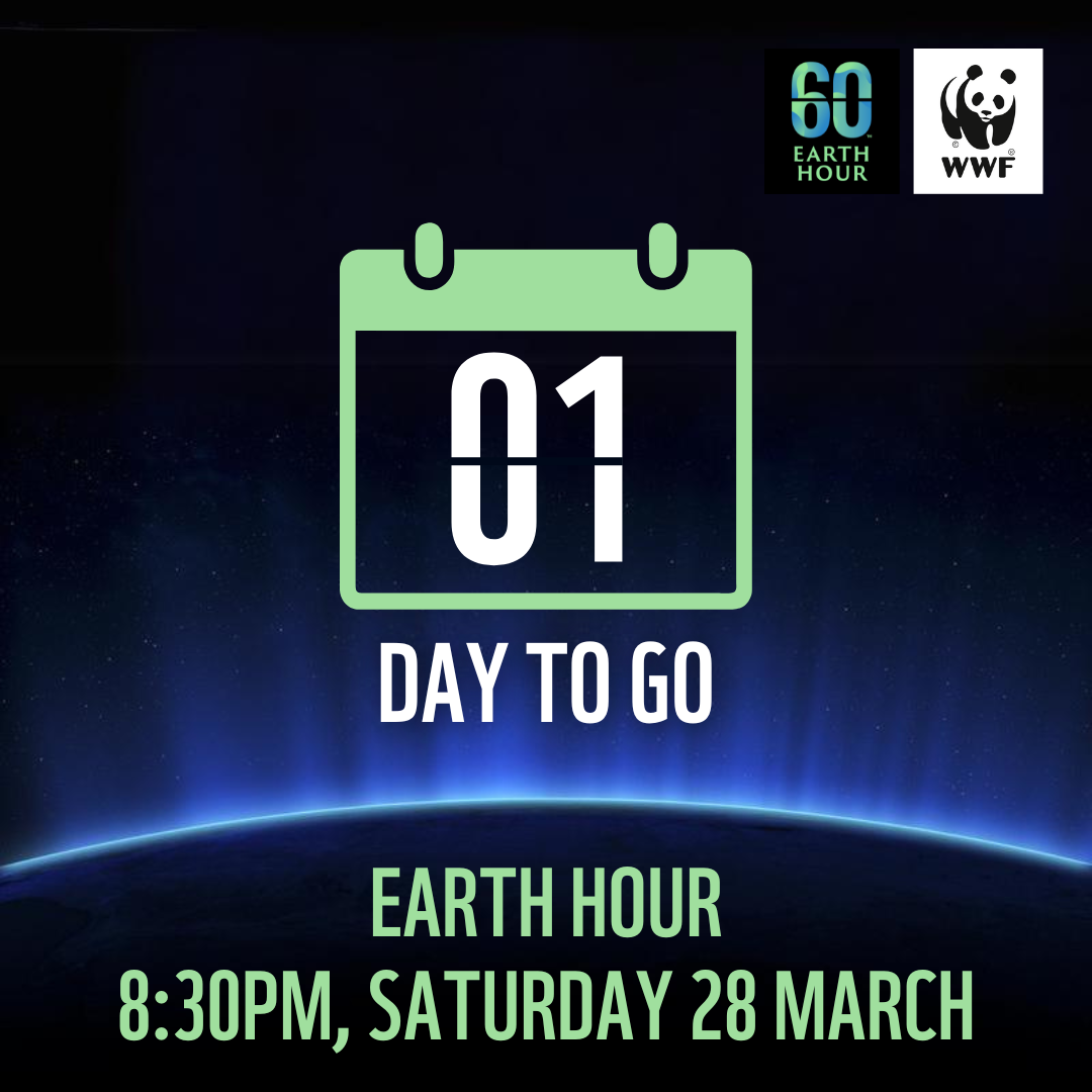 1 Day to Go Switch Off